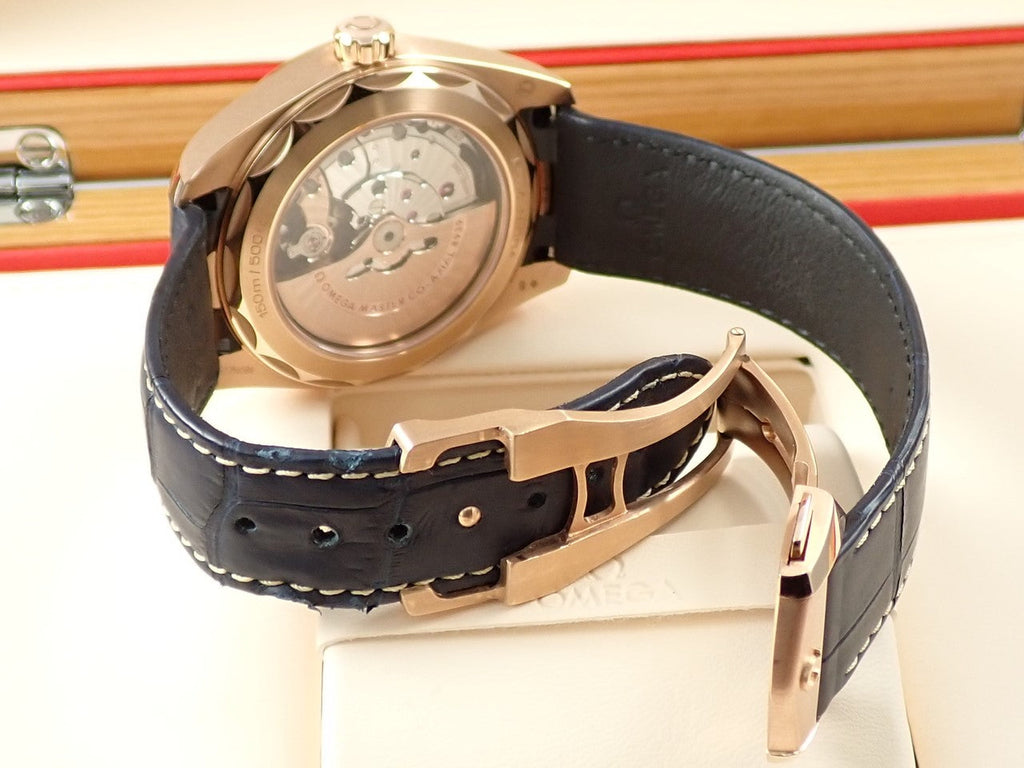omega Seamaster Aqua Terra GMT Worldtimer Reference 220.53.43.22.02.001