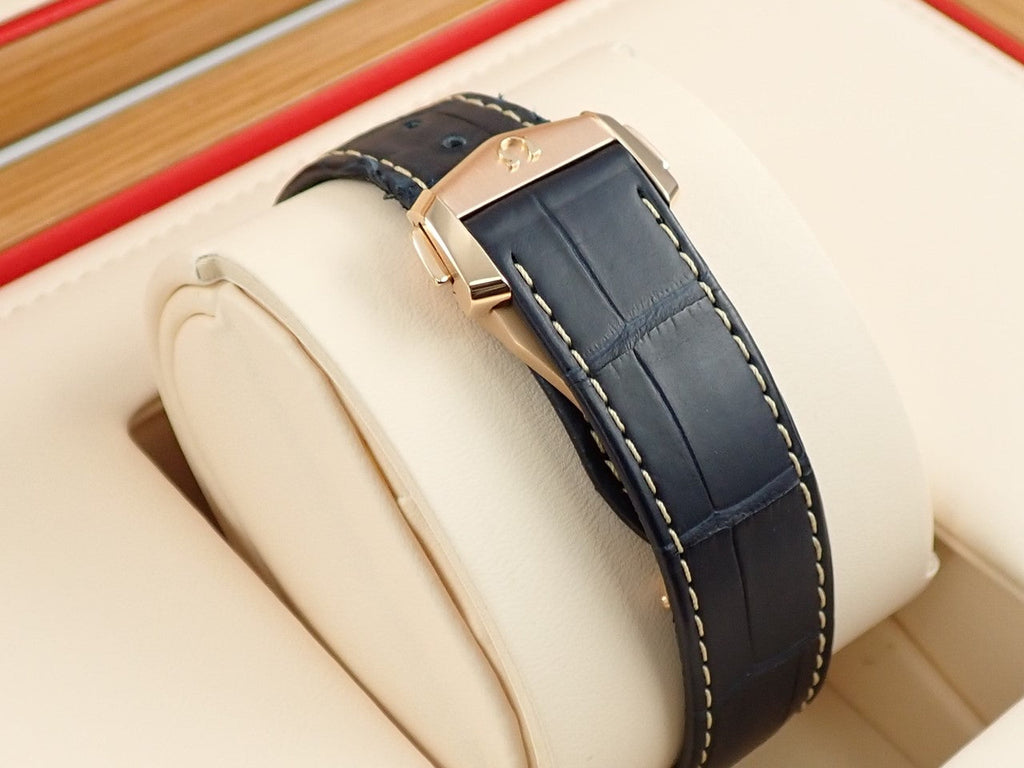 omega Seamaster Aqua Terra GMT Worldtimer Reference 220.53.43.22.02.001