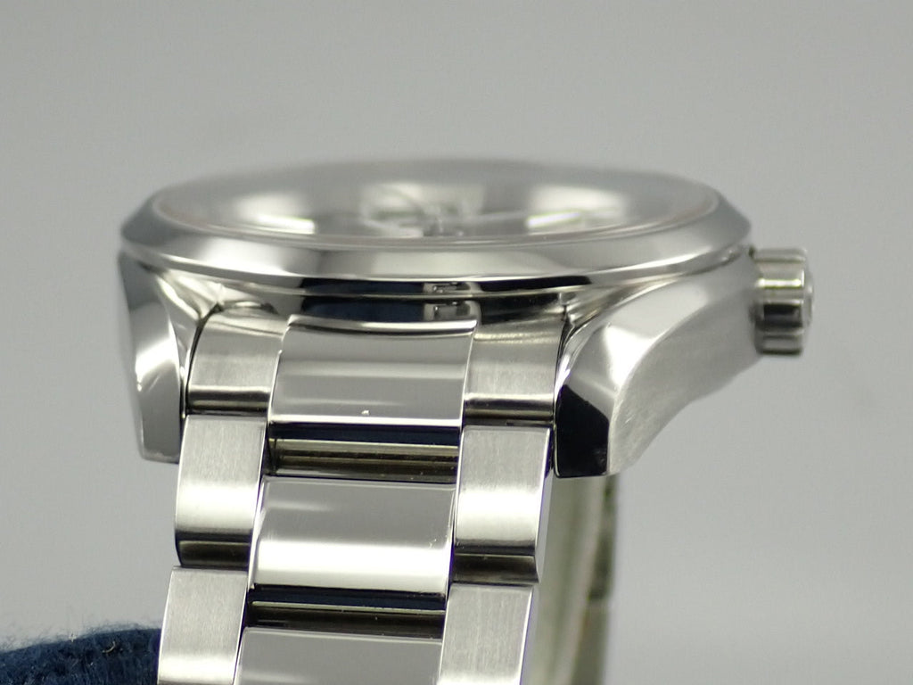 omega Seamaster Aqua Terra Master Co-Axial Chronometer Reference 231.10.39.21.03.002