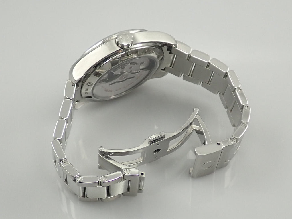 omega Seamaster Aqua Terra Master Co-Axial Chronometer Reference 231.10.39.21.03.002