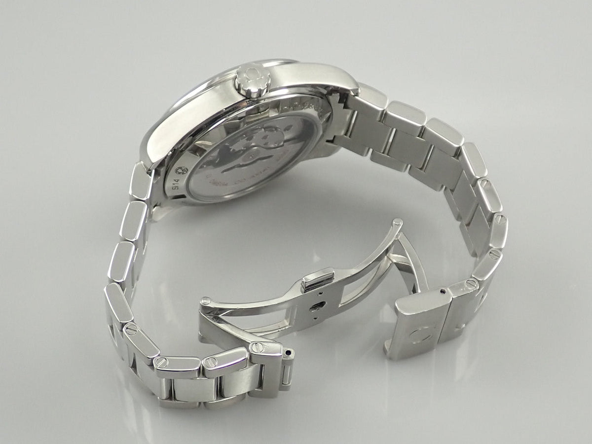 omega Seamaster Aqua Terra Master Co-Axial Chronometer Reference 231.10.39.21.03.002