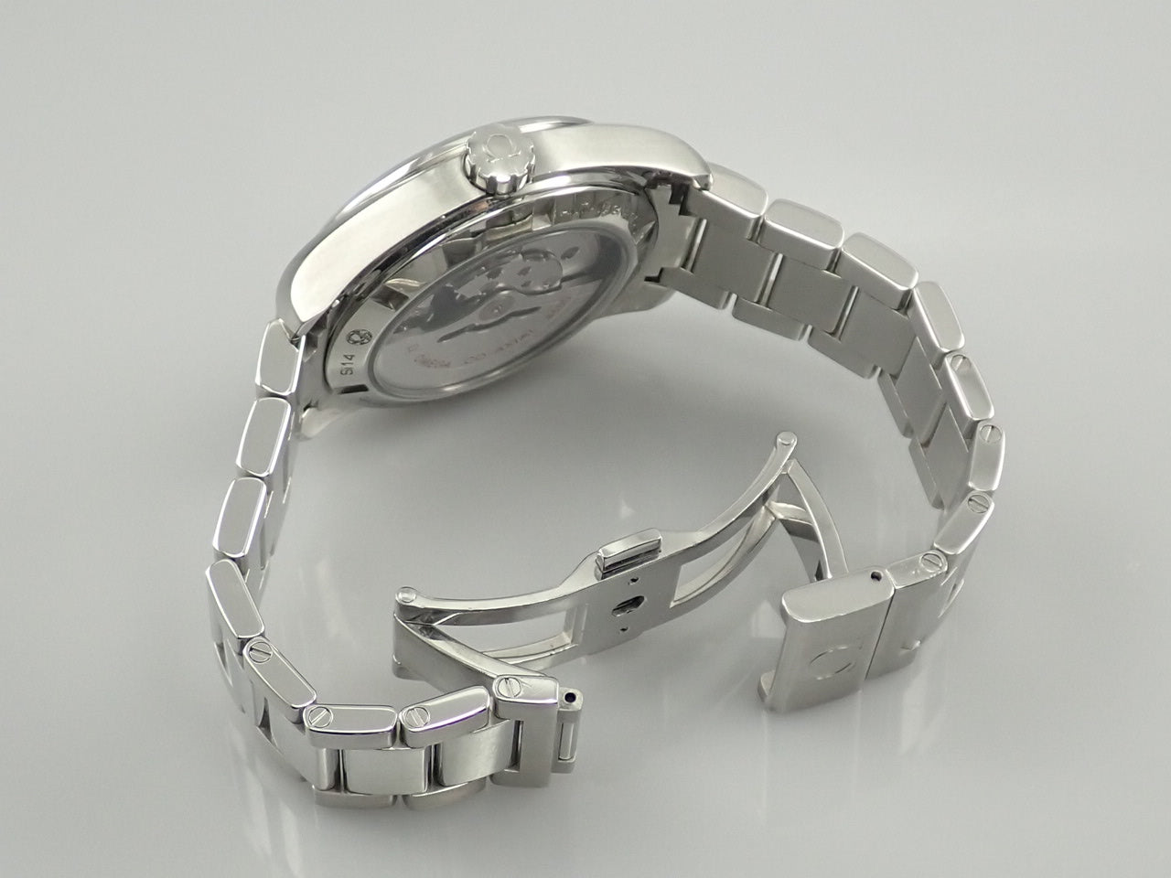 omega Seamaster Aqua Terra Master Co-Axial Chronometer Reference 231.10.39.21.03.002