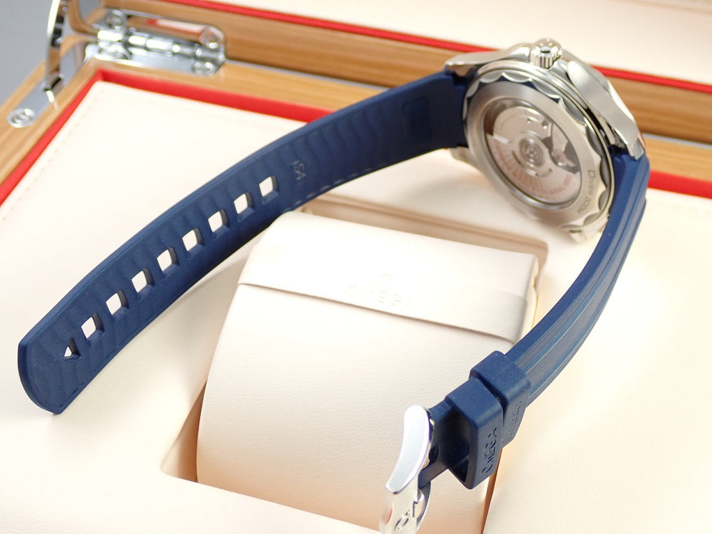 omega Seamaster Diver 300M Co-Axial Master Chronometer 42MM Reference 210.32.42.20.03.001