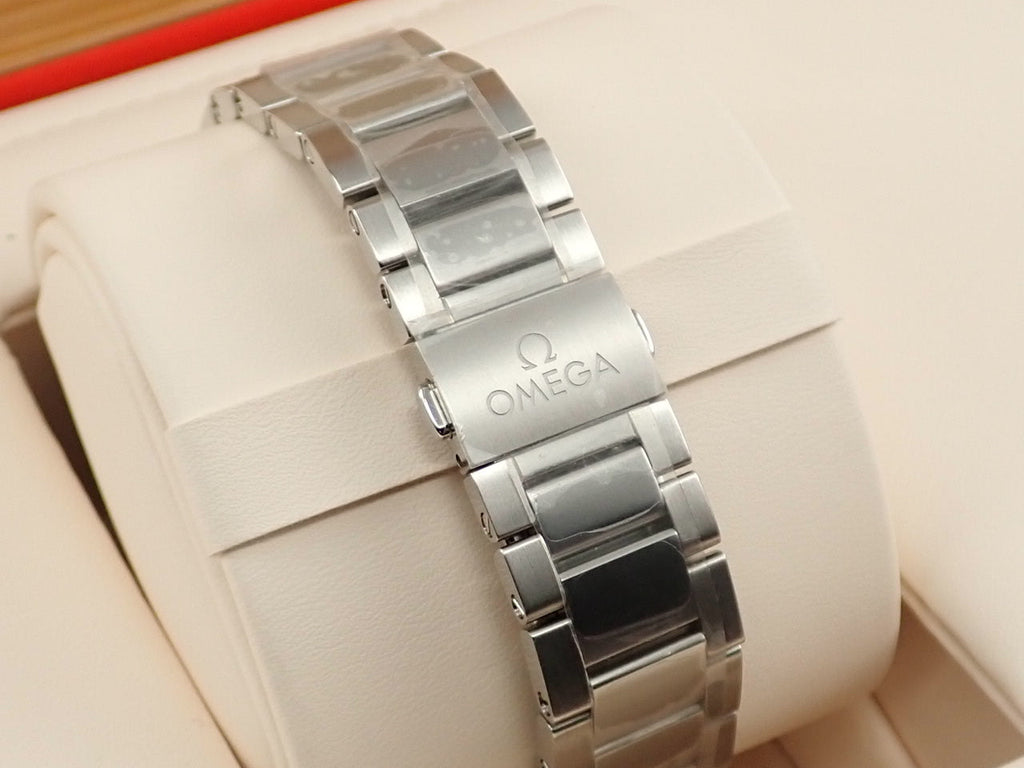 omega Seamaster Aqua Terra Co-Axial Master Chronometer Reference 220.10.38.20.03.001