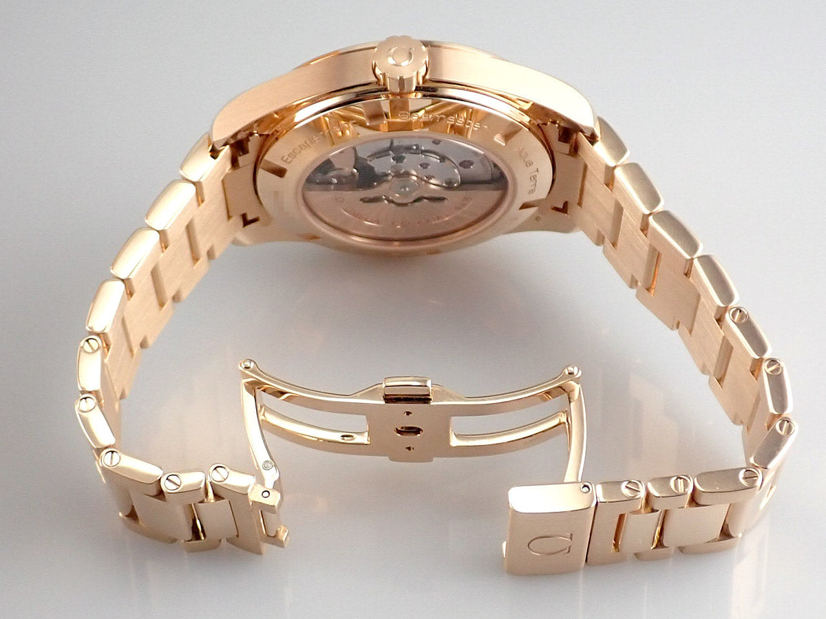 omega Seamaster Reference 231.50.43.22.02.001